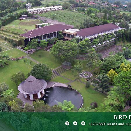 Amaryllis Boutique Resort Paragajen Kültér fotó