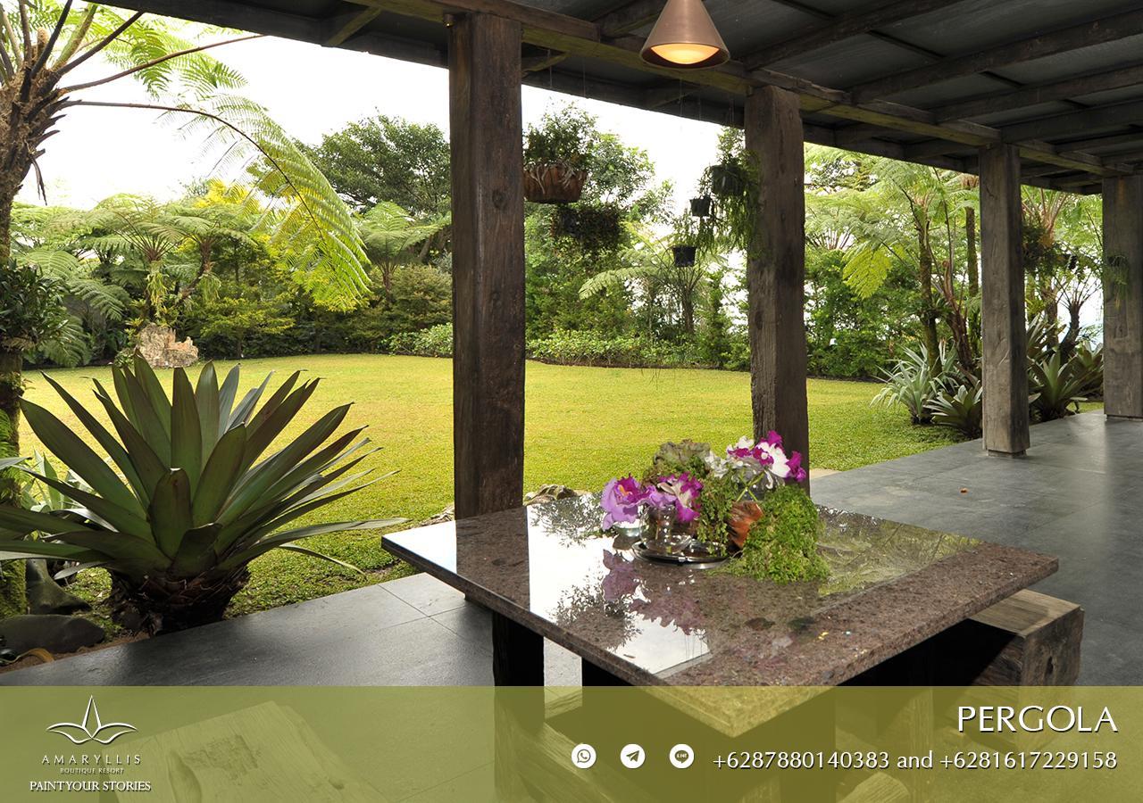 Amaryllis Boutique Resort Paragajen Kültér fotó